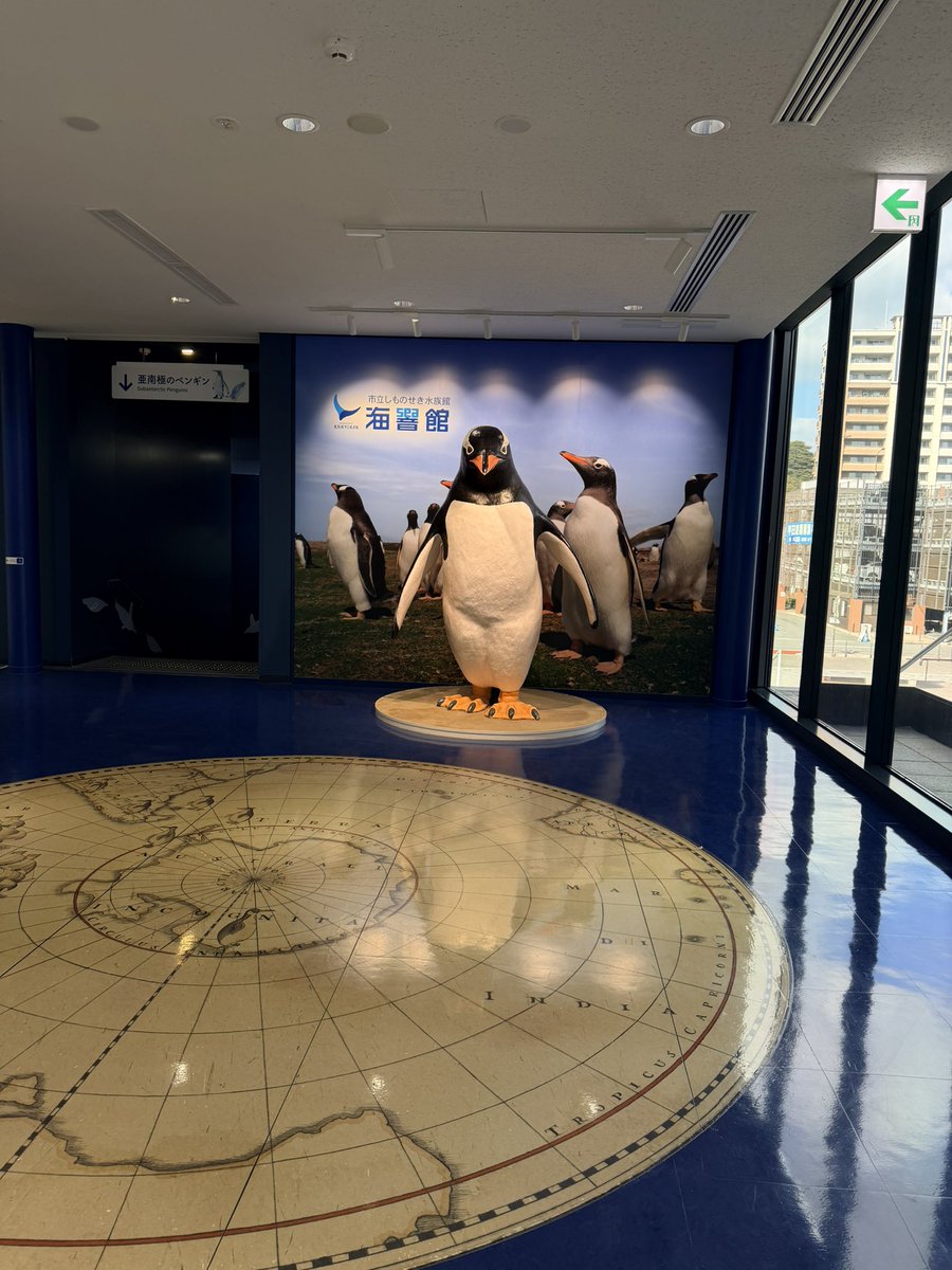 penKingdom's tweet photo. 🐧🐡🦭
行ってきました🚗³₃ https://t.co/ZgU09dBXYE