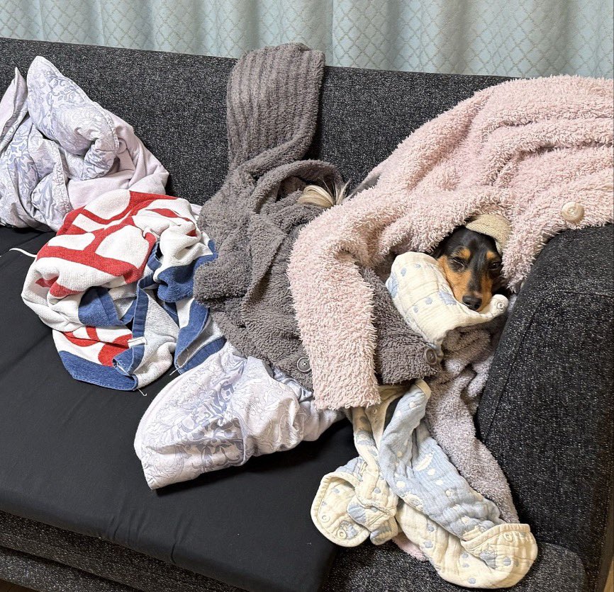 信じて貰えないかも知れませんが、

全部…畳んであったんです。

ええ、あっという間の犯行でした…