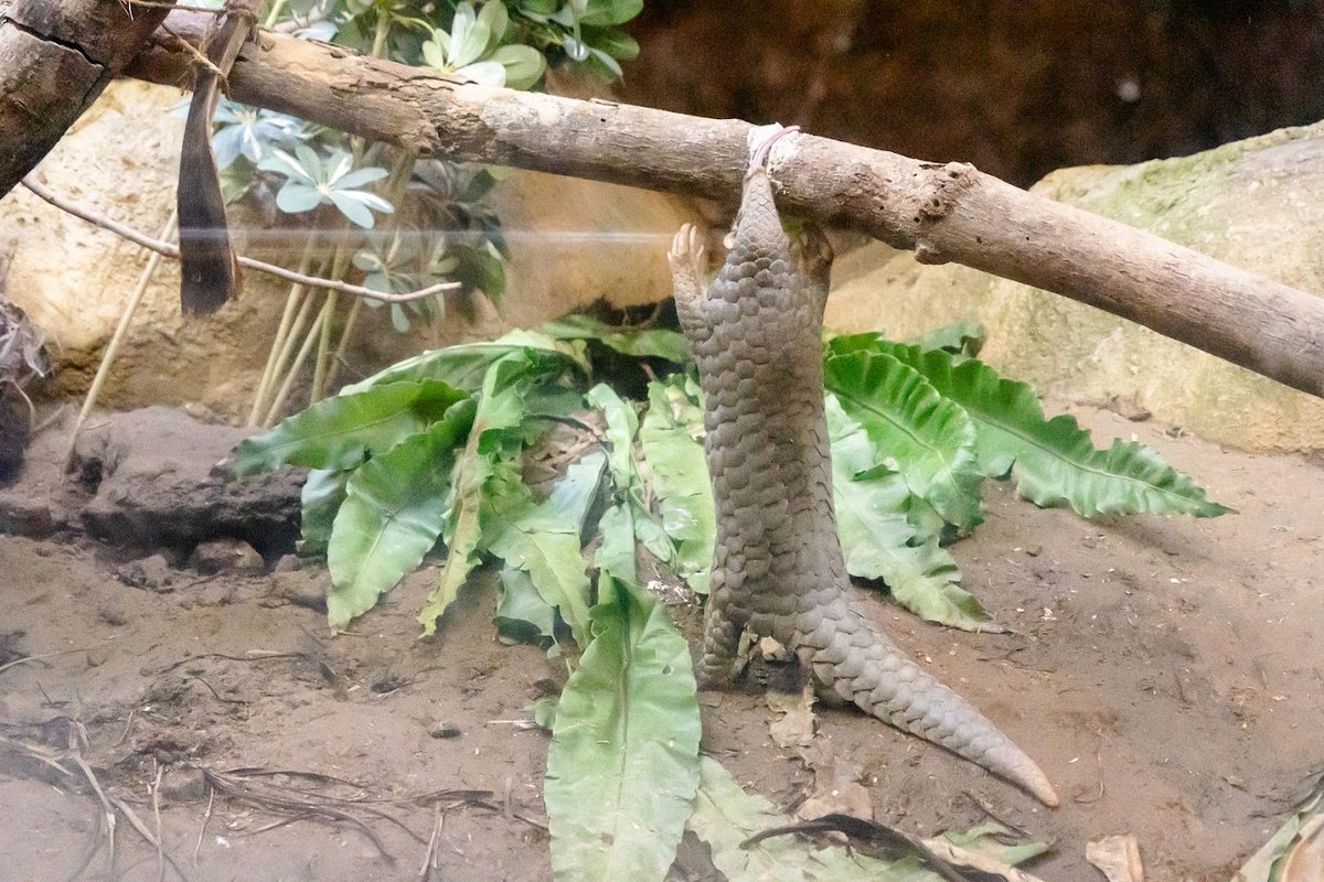 Taiwan Review tweet media