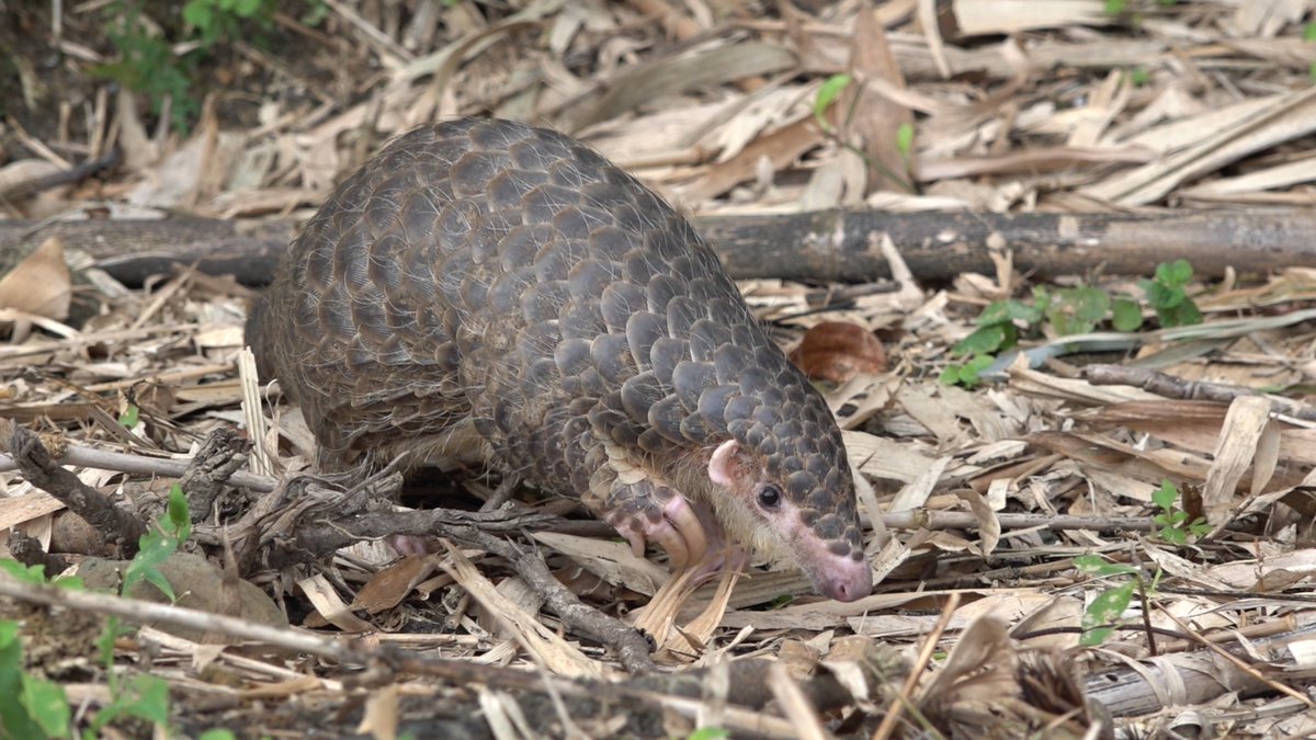 Taiwan Review tweet media