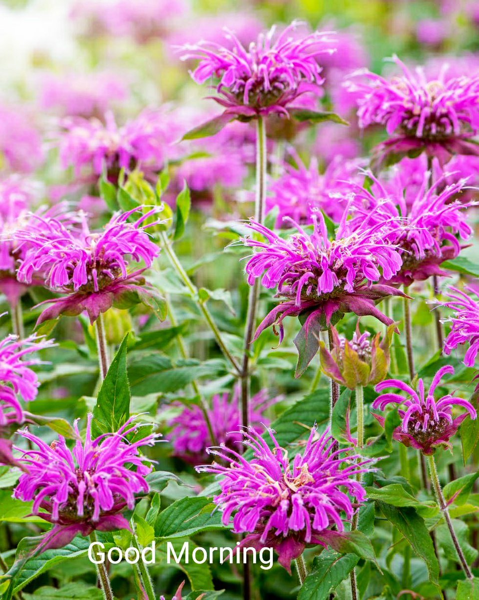 ThulaseedharanS tweet media