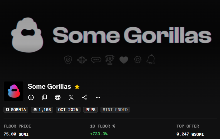 Some Gorillas tweet media