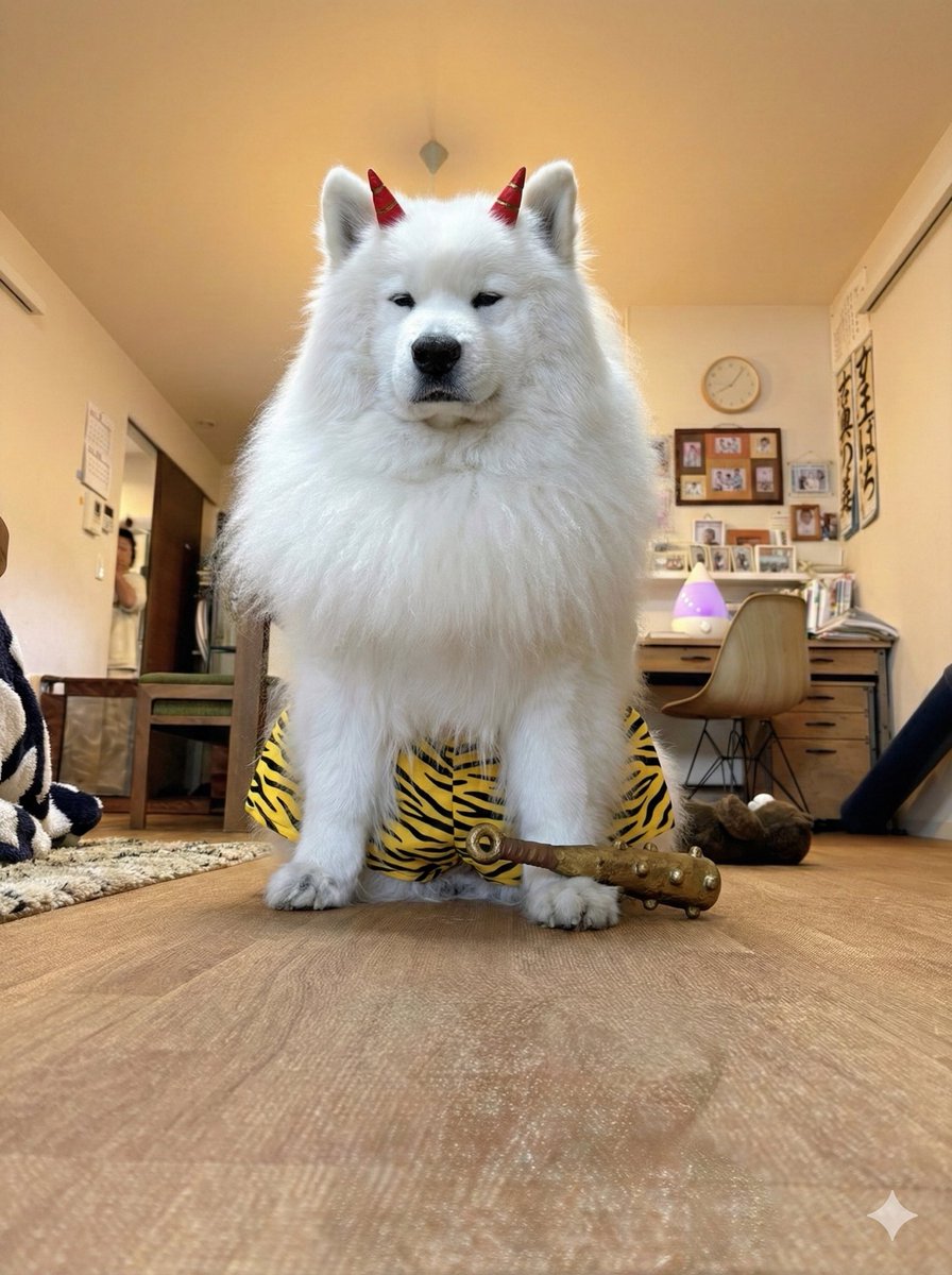 準備万端の犬がいます