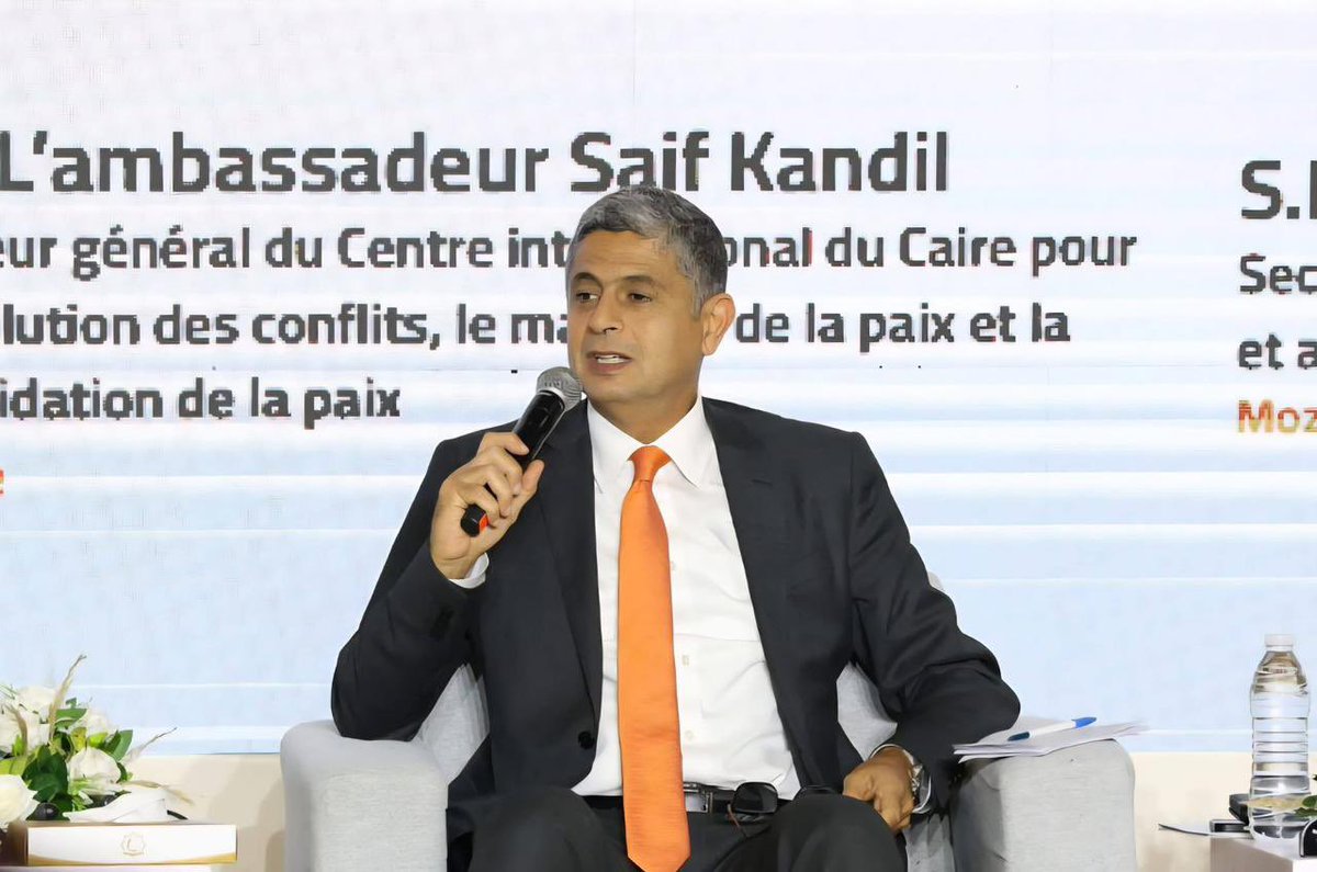 🌐Cairo International Center for Peace (CCCPA) tweet media