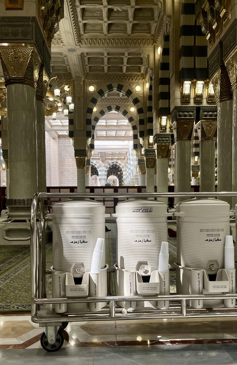 أمِـينة عبدالله 𓂆 tweet media