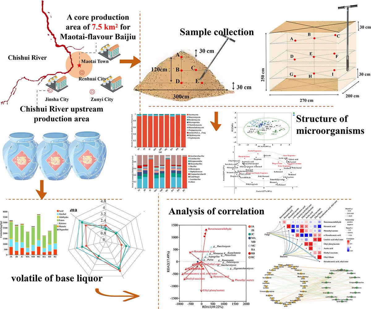 MicrobesInfect's tweet image. Integrated Metagenomic and Metabolomic Analysis Reveals Regional Style Differences in Maotai-Flavour #Baijiu

sciencedirect.com/science/articl… #OpenAccess #metabolomics #metagenomics