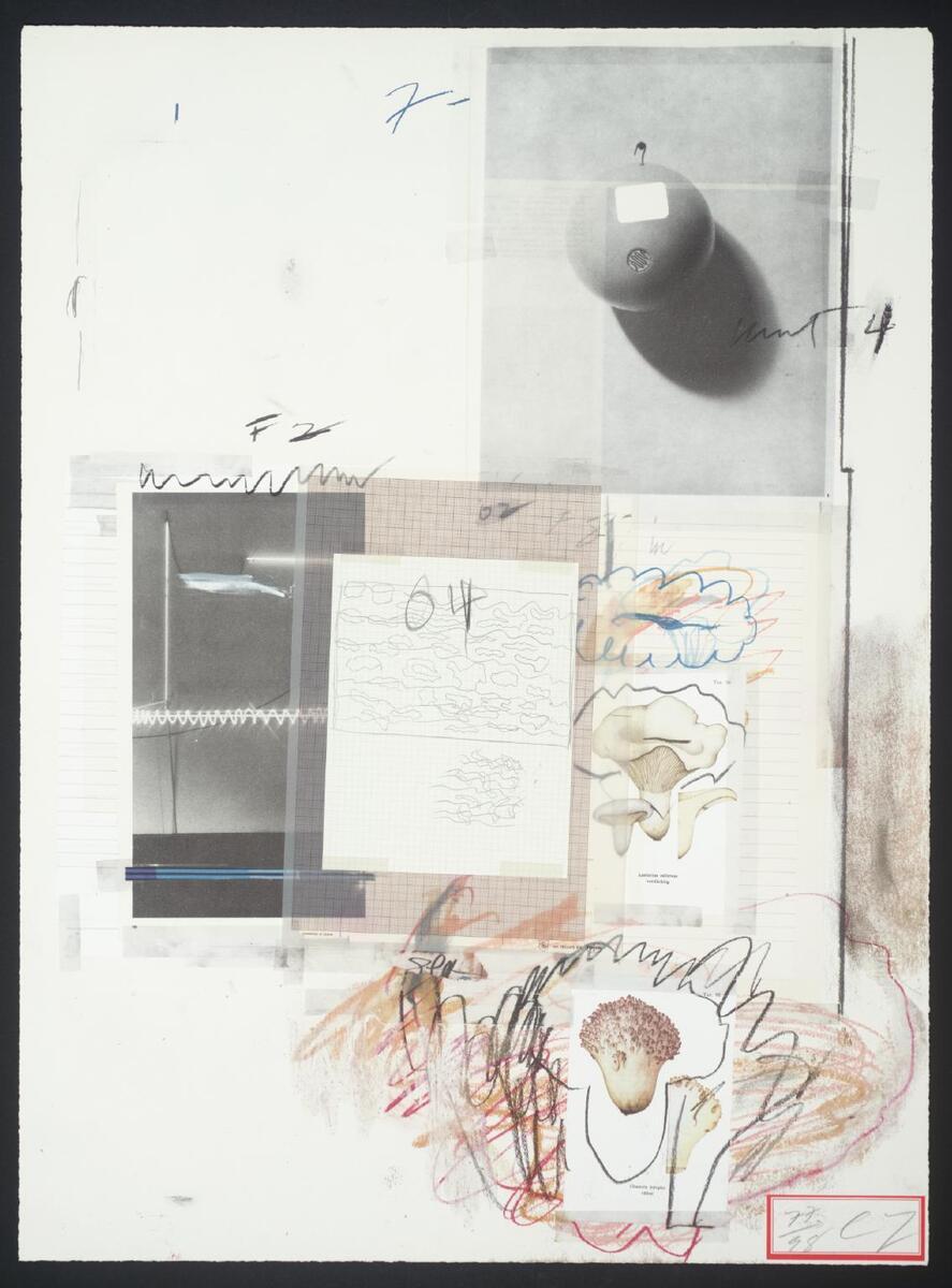 artisttwombly's tweet photo. No. VIII #artbots #twombly https://t.co/FepvhVJRB9
