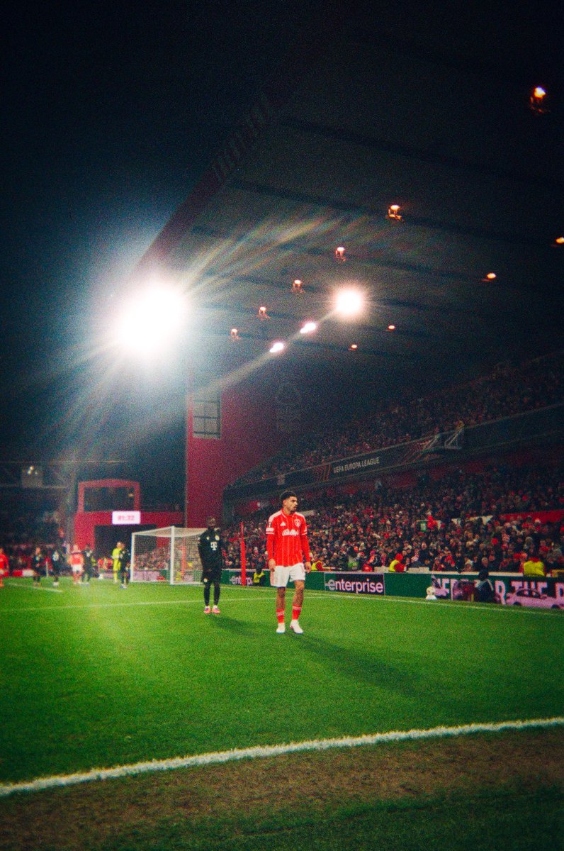 OurGloriousBanners tweet media