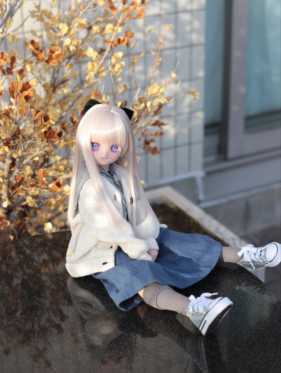 ☃️ #ぐるっ子 #BorderlineToybox