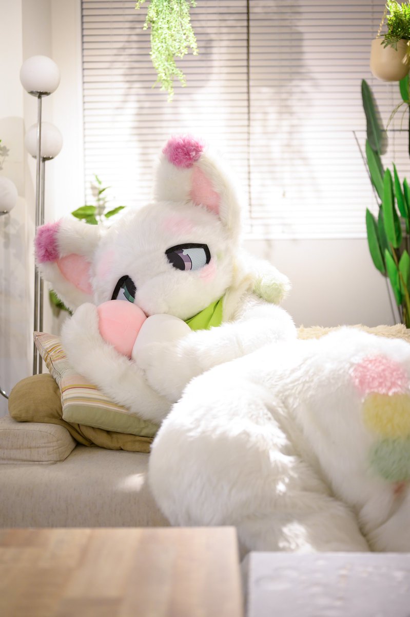 #FursuitEveryday #いぬご家
#いぬご家っ子のみんな見てるー