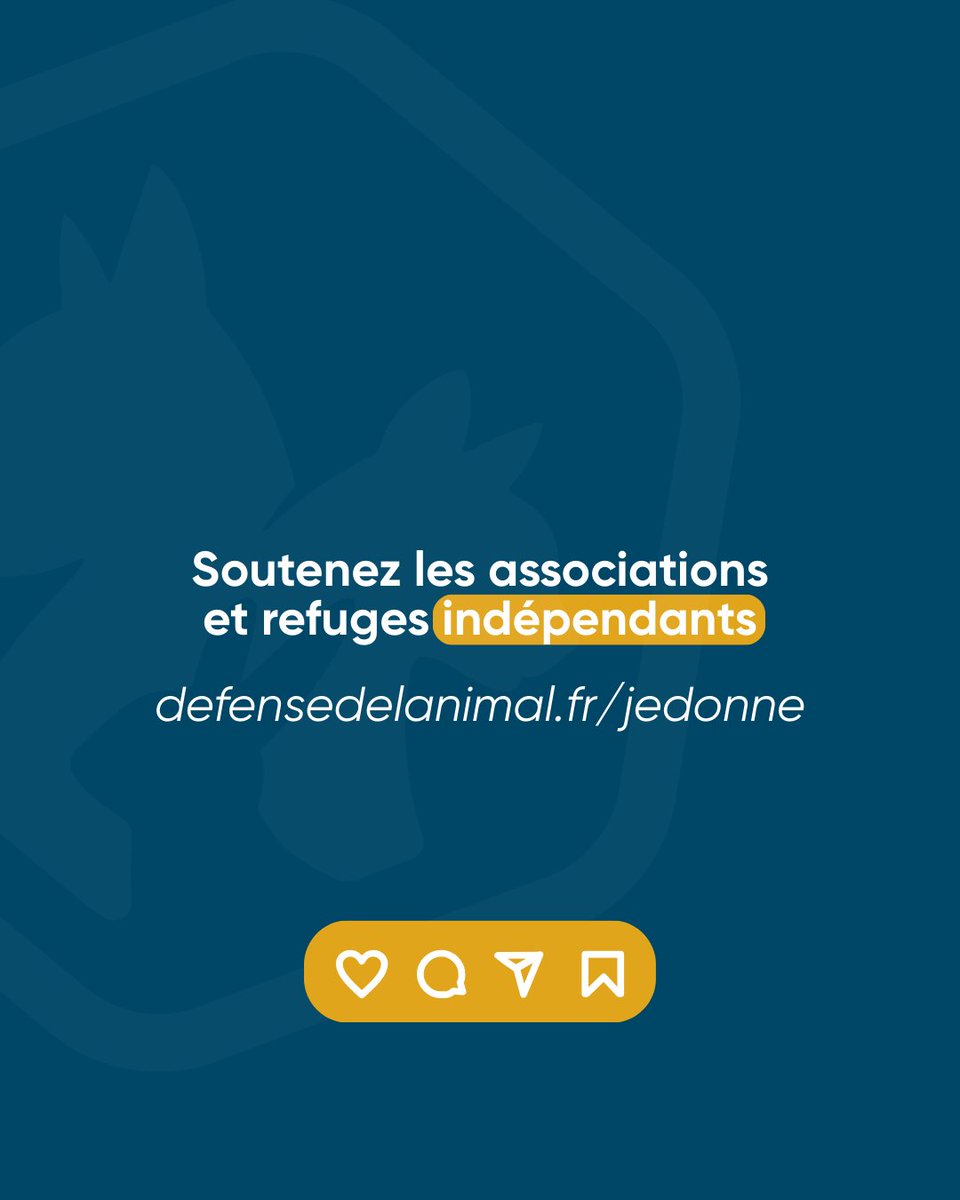 Défense de l'Animal tweet media