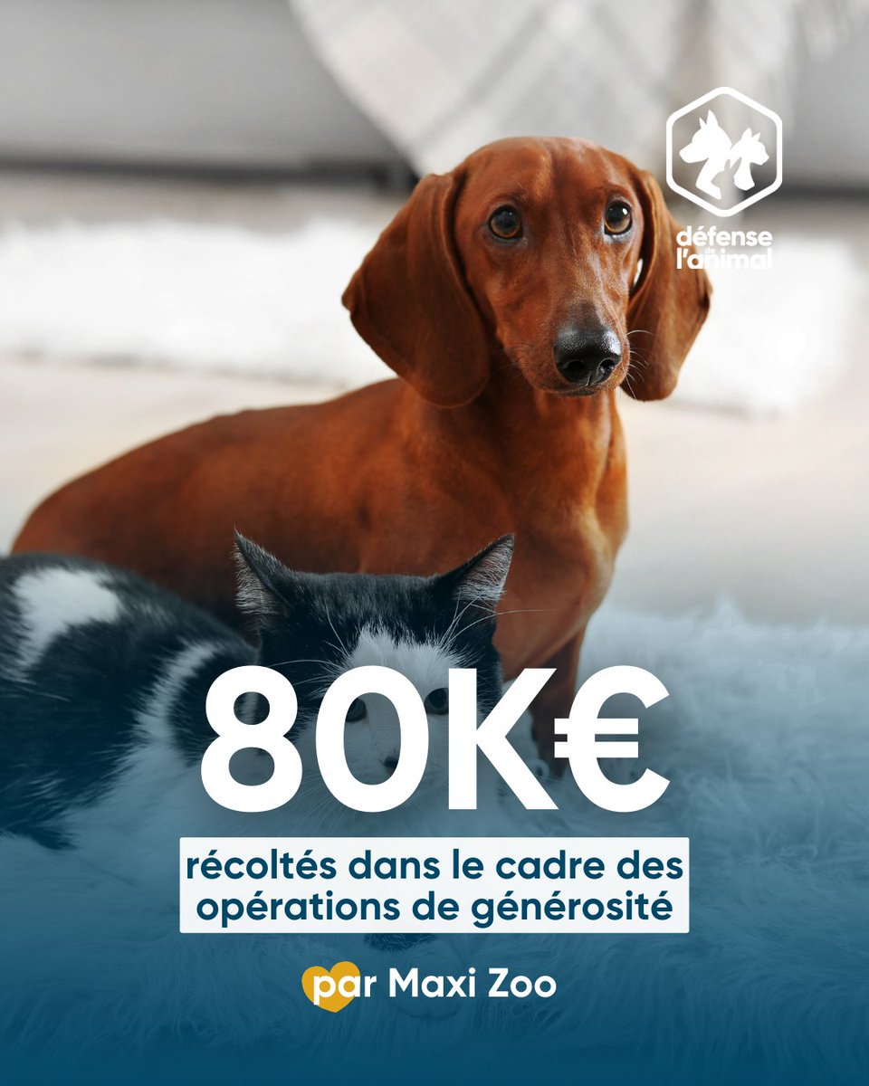 Défense de l'Animal tweet media