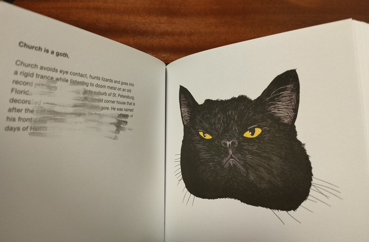 みみちいこくてデビルのようだぞ