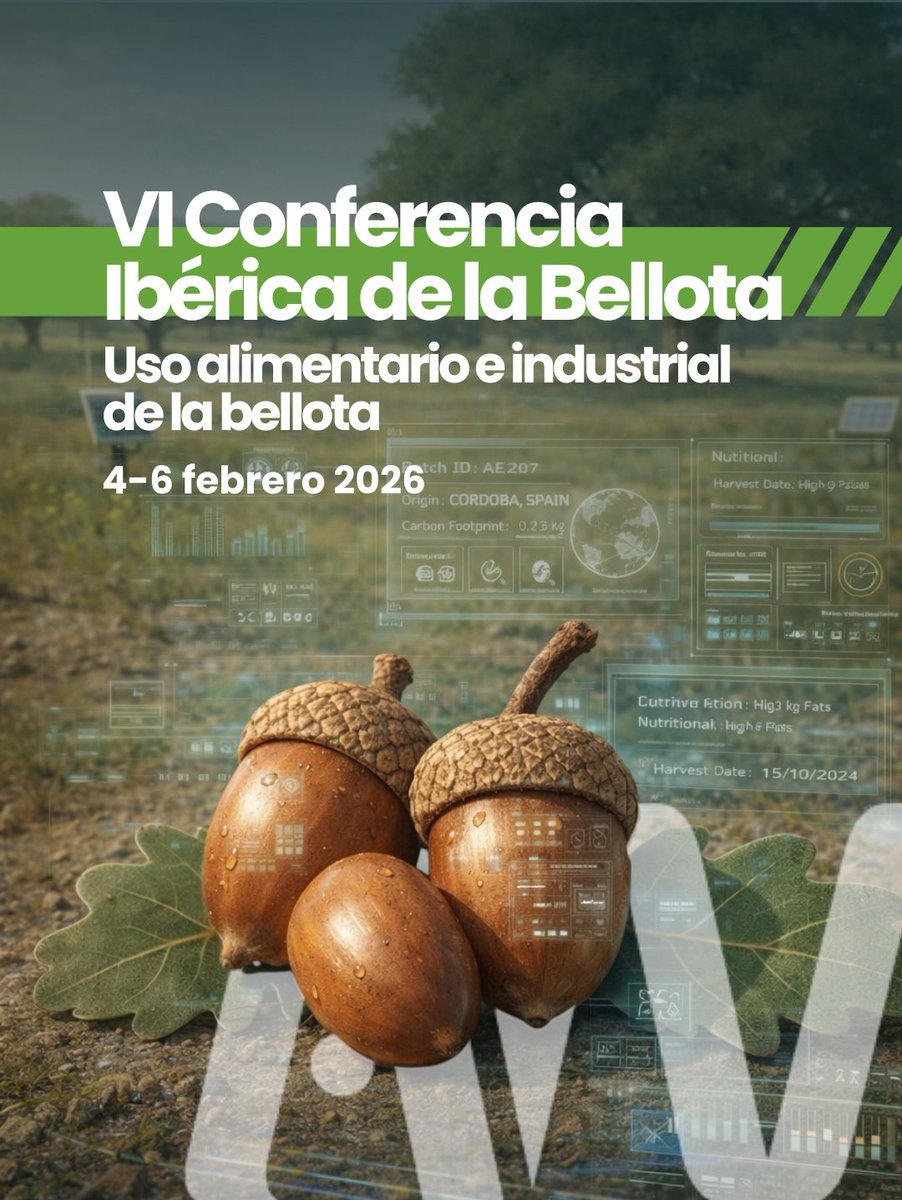 ETSIAMCordoba's tweet photo. 🗣️ VI Conferencia Ibérica de la Bellota
“Uso alimentario e industrial de la bellota”
Organizados por G.I Biotecnología Vegetal y Agroforestal (Dpto. Bioquímica y Biología Molecular) de @ETSIAMCordoba 
📍 Comarca de Los Pedroches
📅 4–6 de febrero de 2026
🔗https://t.co/xPalJtB2NI https://t.co/6ezAdrENlB