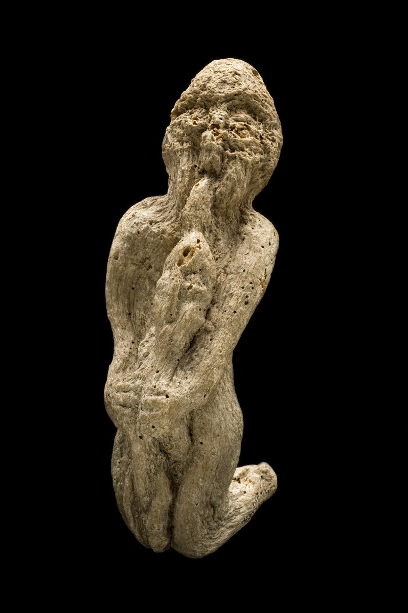 ちなみにこれはロンドン科学博物館にあるマンドレイクの根とされてきた