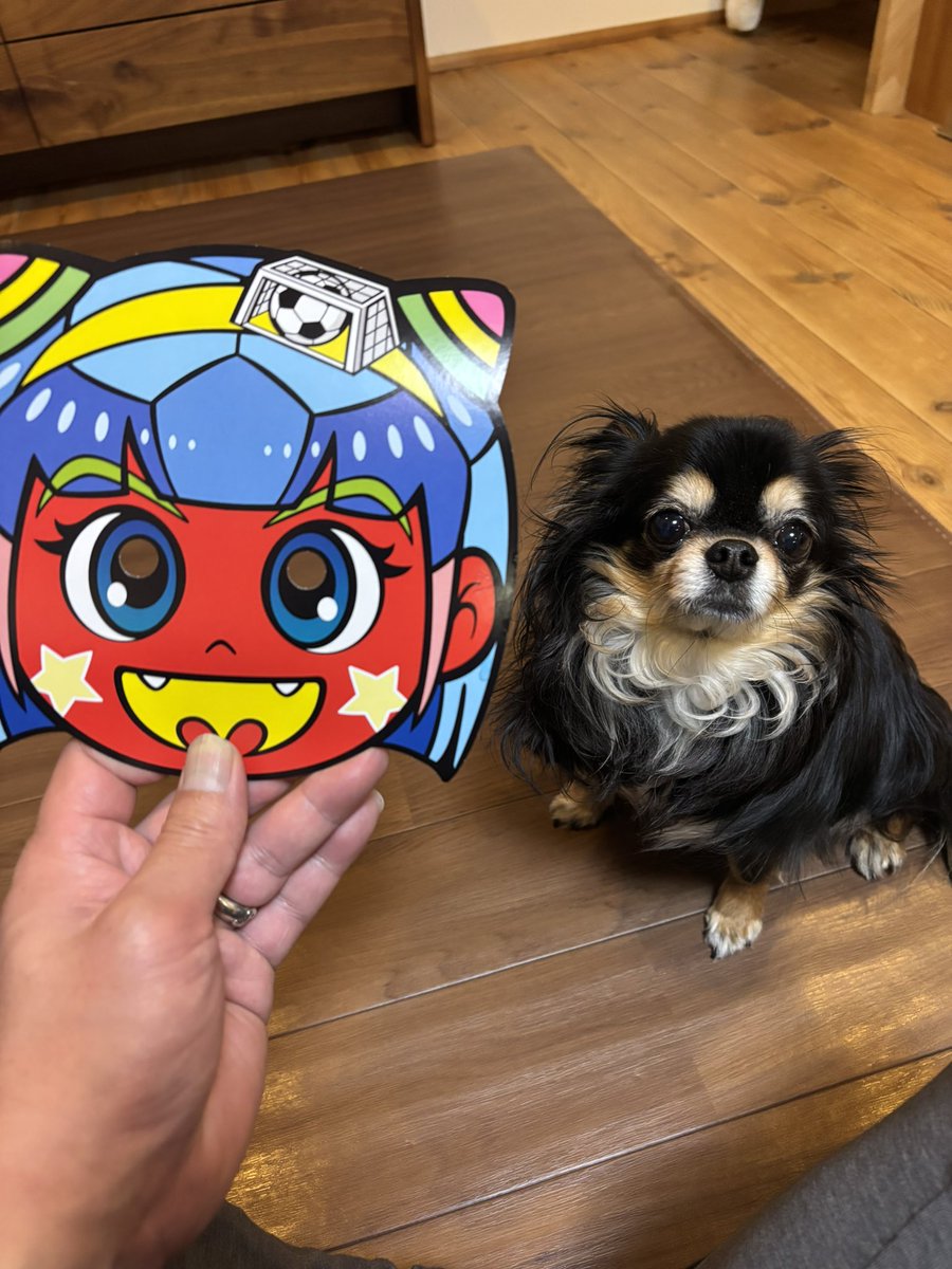 しこすけ (@shikosukemini91) / Posts / X