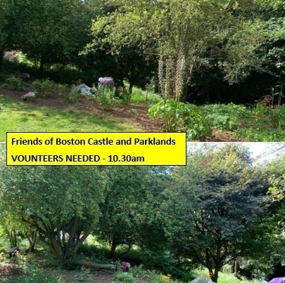 Stag & Rose Court Patient Participation Group tweet media