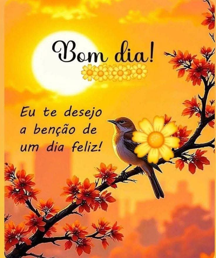 Julio Cesar 🇧🇷🇧🇷🇧🇷 tweet media