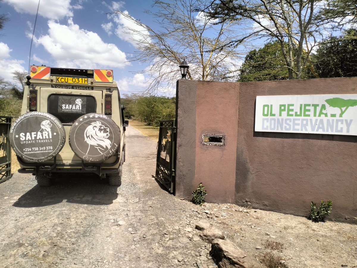 UpdatesSafari's tweet photo. |Ol pejeta Conservancy| Wildlife Adventure in Kenya🇰🇪.

Talk to our qualified and knowledgeable safari guides

📧 info@safariupdatestravel.com
📲+254 738 349378
🌐 https://t.co/uaUkZYD5Z3
.
#Authentic #Safari #Experiences #Africansafari #magicalkenya https://t.co/5b9CxzSyv0