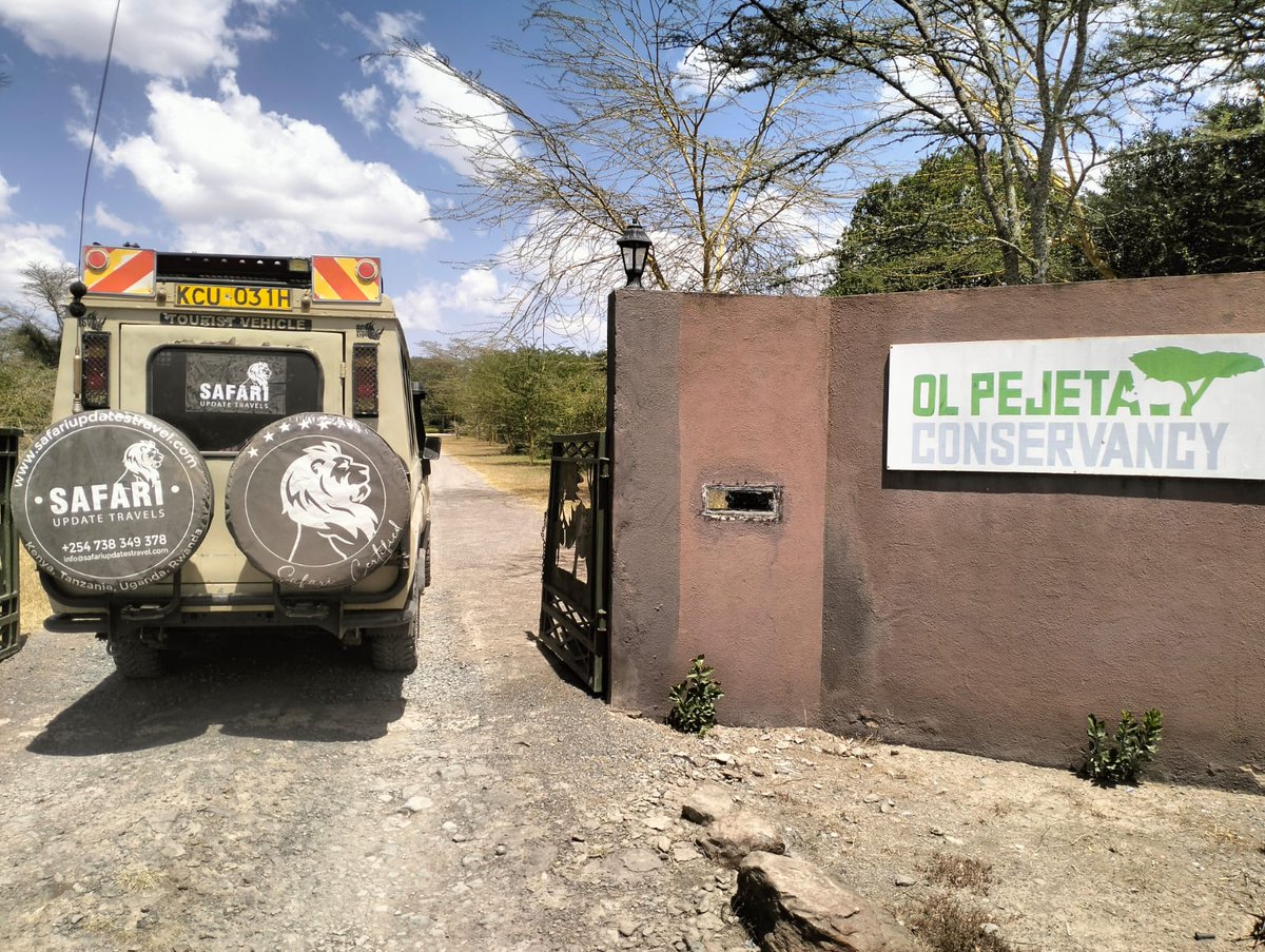UpdatesSafari's tweet photo. |Ol pejeta Conservancy| Wildlife Adventure in Kenya🇰🇪.

Talk to our qualified and knowledgeable safari guides

📧 info@safariupdatestravel.com
📲+254 738 349378
🌐 https://t.co/uaUkZYD5Z3
.
#Authentic #Safari #Experiences #Africansafari #magicalkenya https://t.co/5b9CxzSyv0