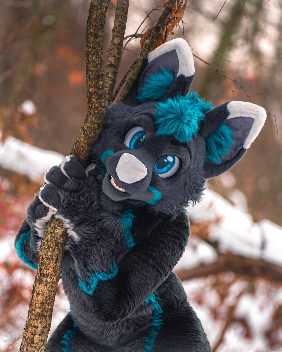 _Will_314's tweet photo. See y'all soon at F²! Stay warm and furred up awoof! 

📸: @SilySox 🖤🧡🤍🧀 https://t.co/xThcfPQyHb