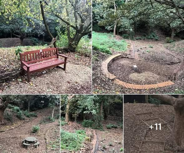 Stag & Rose Court Patient Participation Group tweet media