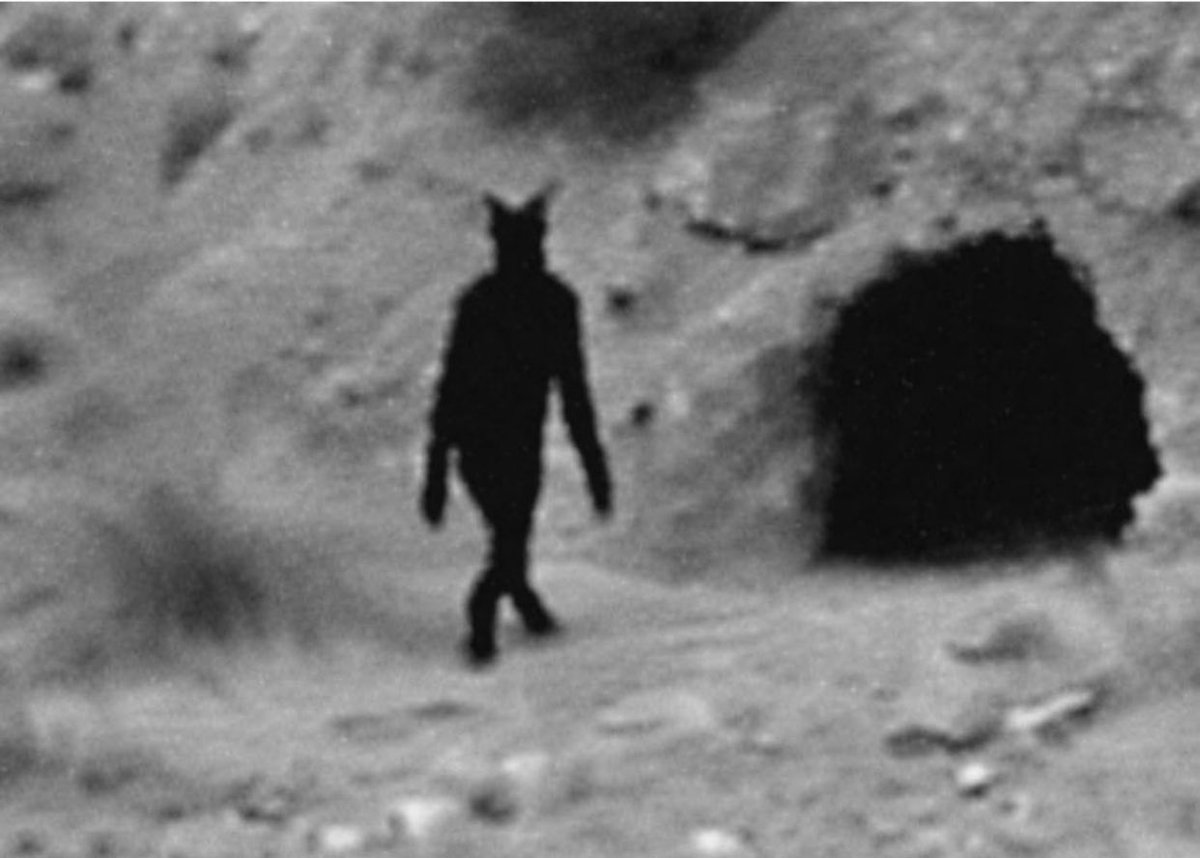 Vitalik heading back to his cave after offloading 16,000 ETHEREUM, all while claiming how crucial it is for $ETH to morph into something like $ICP in the next 5 yrs. 😭