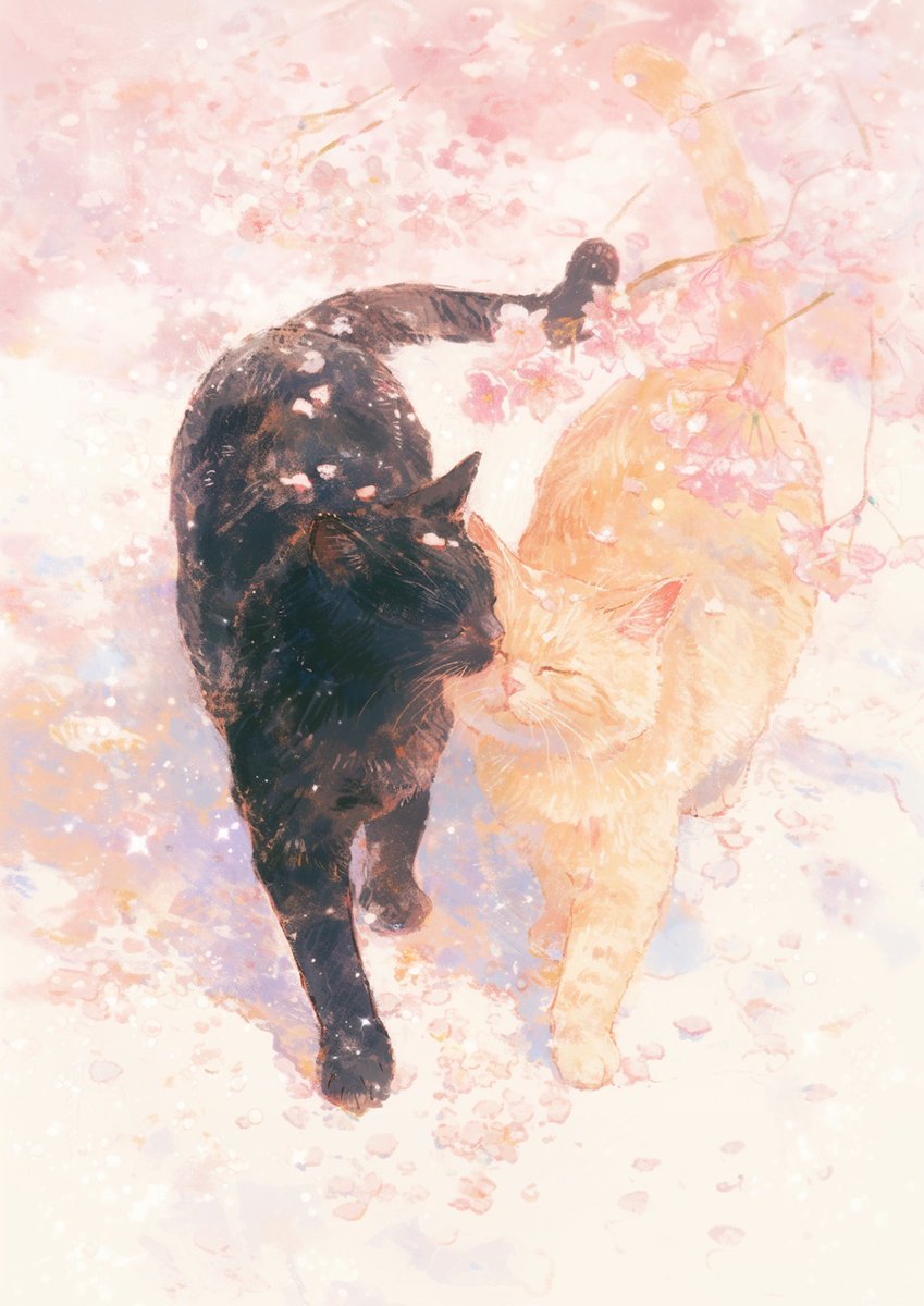 momowaaai's tweet image. 