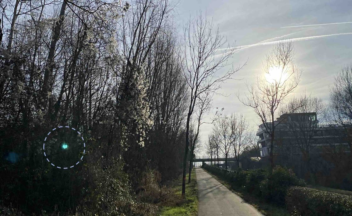 Er werden nieuwe UFO-meldingen op onze website geplaatst. Bekijk de laatste update via: ufomeldpunt.be/recent/ #UFOs #UAPs