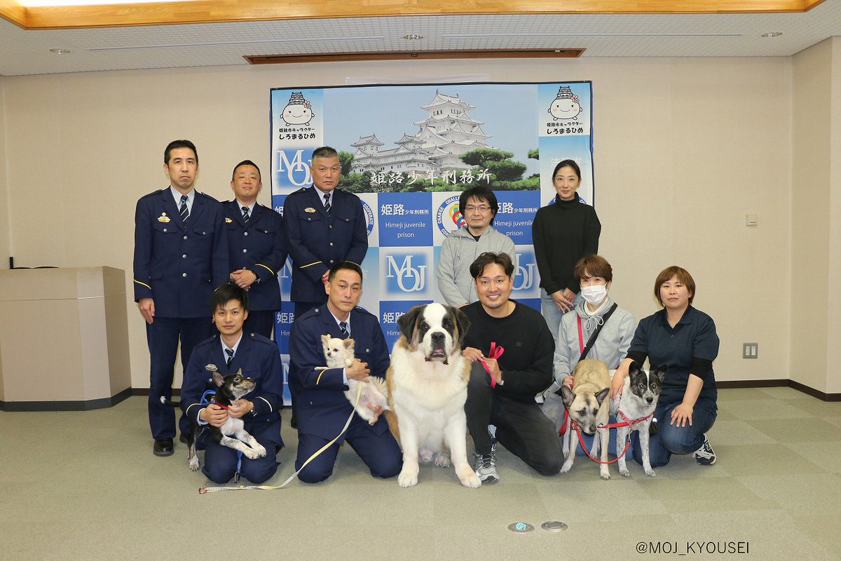第6回保護犬育成プロジェクト】 姫路少年刑務所においてペッツ