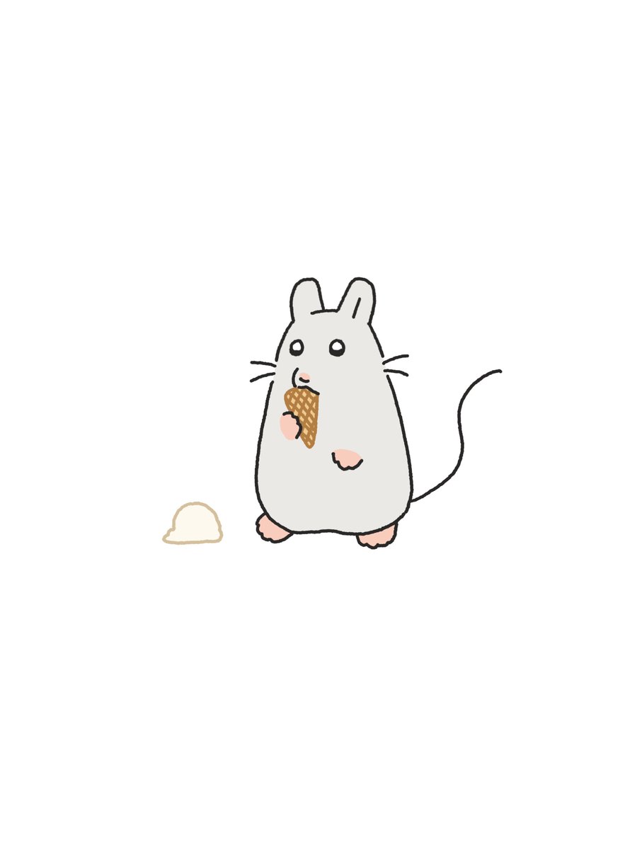 설치류를설치하기 tweet media