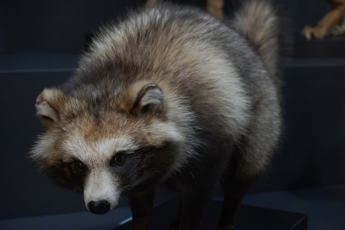 🎀えりんぎ🎀👧3y (@Eringi729) / Posts / X