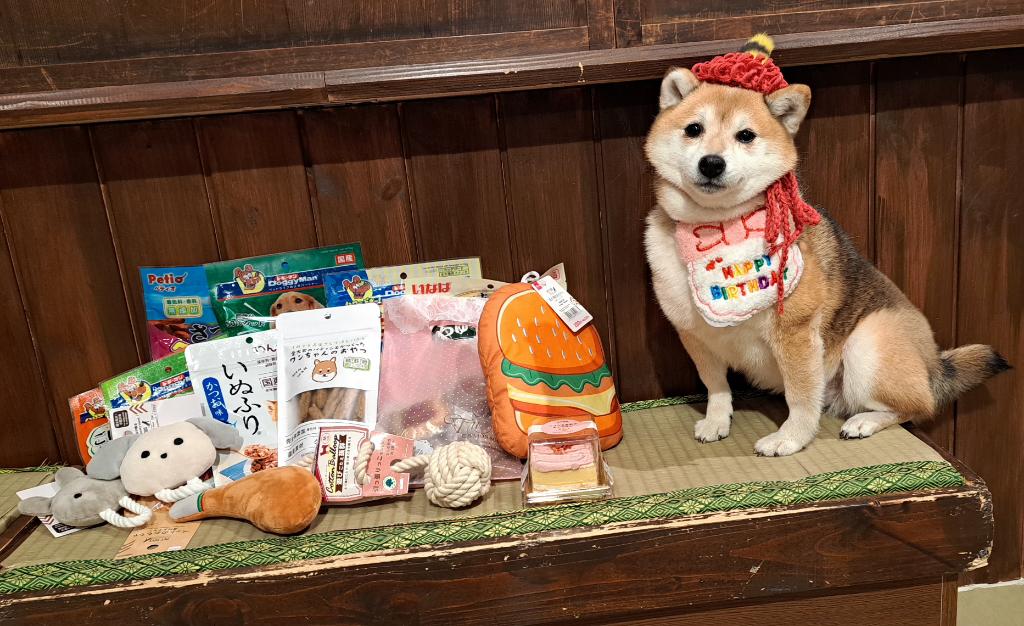 しじみちゃんへのお誕生日プレゼント、ありがとうございます