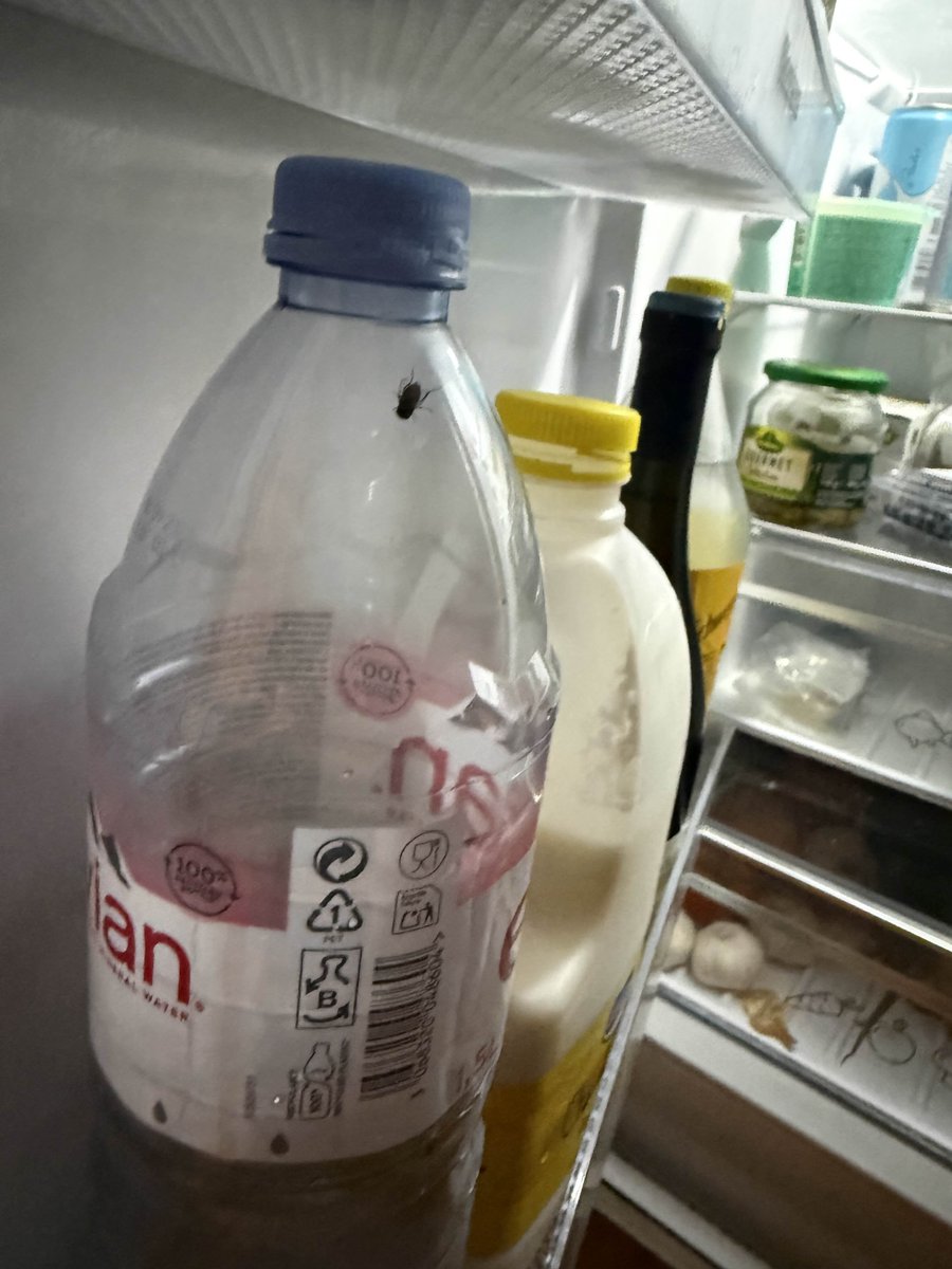 BlastCtrl tweet media