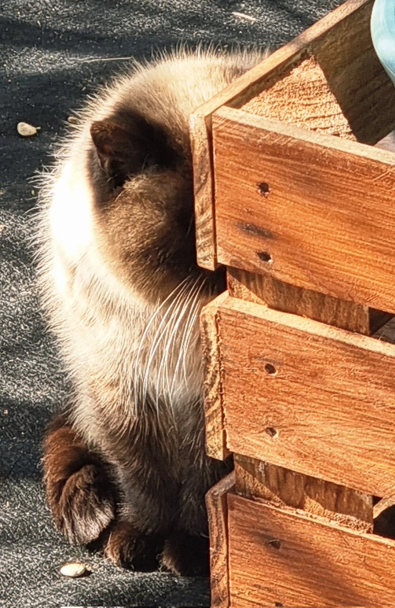 Çok konuşuyor 
Çok düşünüyor 
Ama Az hisseder oldu

Daha çok hissetmeyi ön plana koymuş olsaydık ki ,geç değil hâlâ !
burası daha güzel bir hâl alabilir.