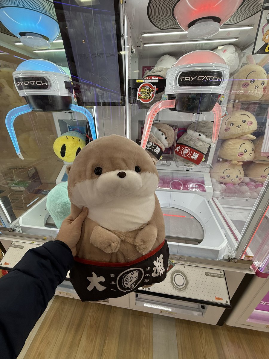 Kumo Otter tweet media