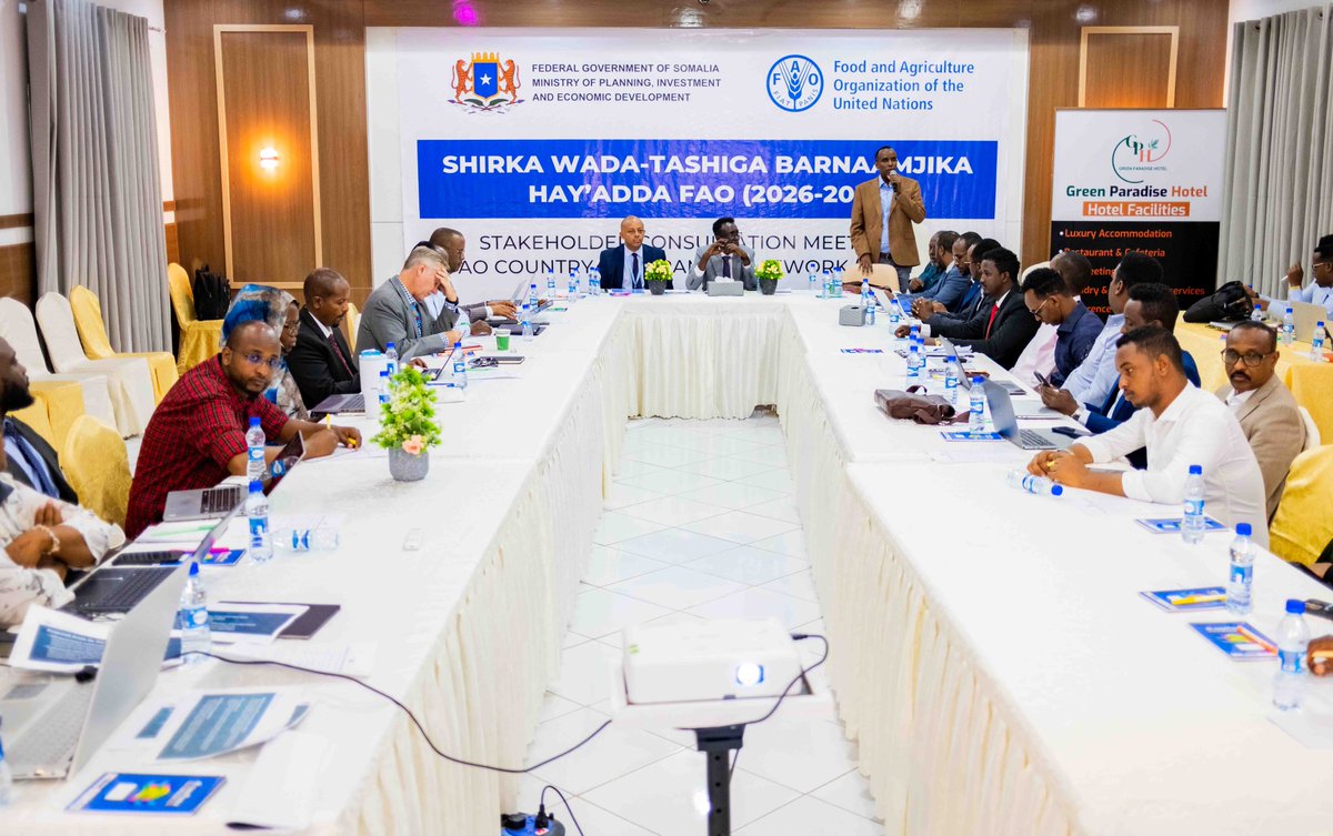 FAOSomalia's tweet image. The Director General of @MoPIED_Somalia, Mr @Moshireh, officially opened the #FAO Country Programming Framework consultative #CPF meeting with Federal and Federal Member States officials, underscoring the need for a transformative agenda in the face of climate change impacts.
