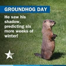 UMC Baseball tweet media