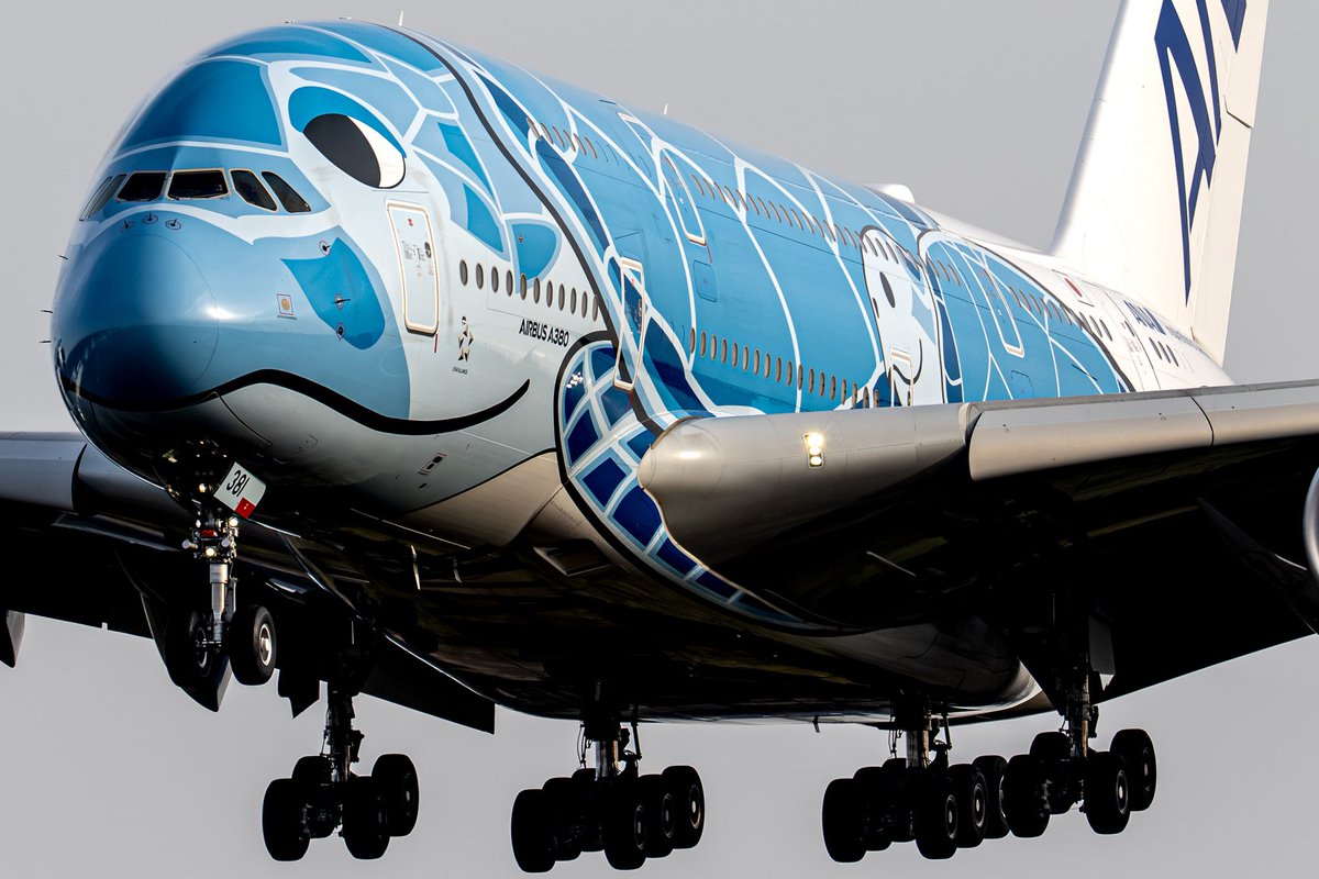 All Nippon Airways
Airbus A380-841 / JA381A

久しぶりにホヌ撮影した
フライングホヌでハワイ行ってみたいなー
できたらラーちゃんで

2026.1.26