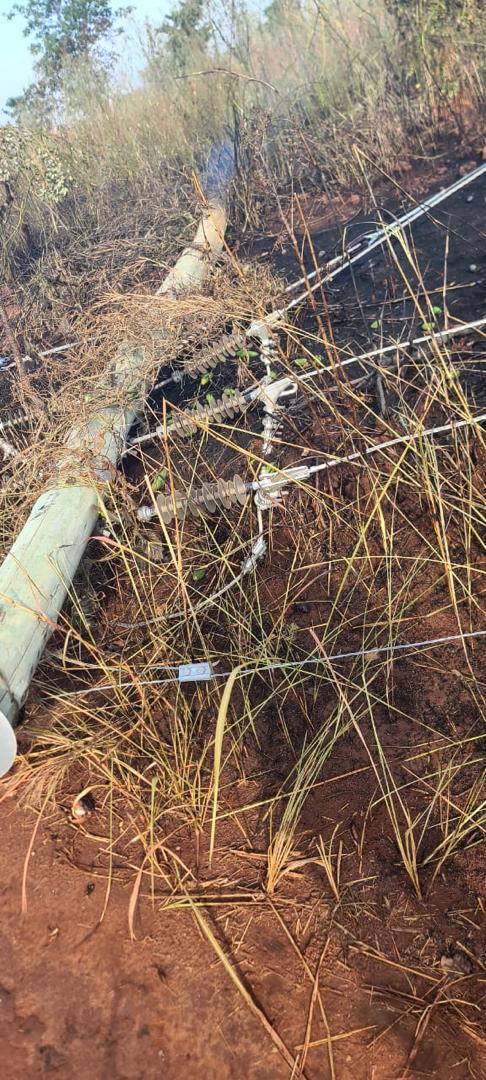 Uganda Electricity Distribution Company Ltd tweet media