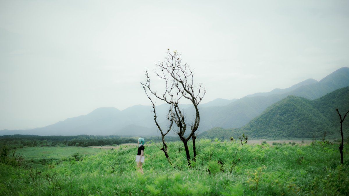 cosplay / 宝石の国

博物誌
Phosphophyllite:<a href="/tom_0102_/">tom</a> 
Photo by <a href="/unohito39/">うの</a>
