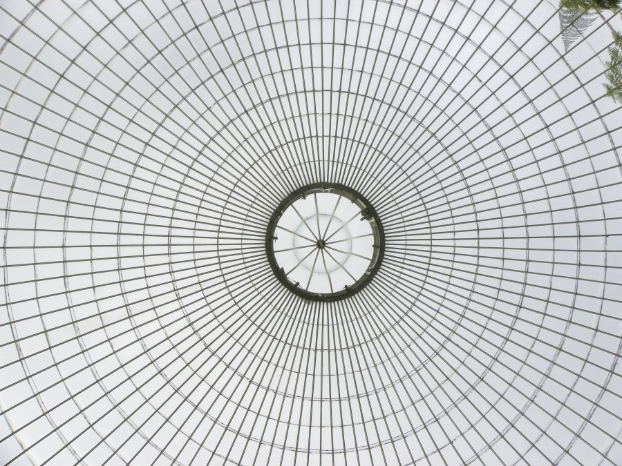 LachlanMain's tweet photo. GLASGOW 2010.
Looking up in the Kibble Palace in the Botanic Gardens.
https://t.co/2p6GwnUIe7
#Glasgow #Scotland #BotanicGardens #architecture #KibblePalace https://t.co/XB0RLrqMwy