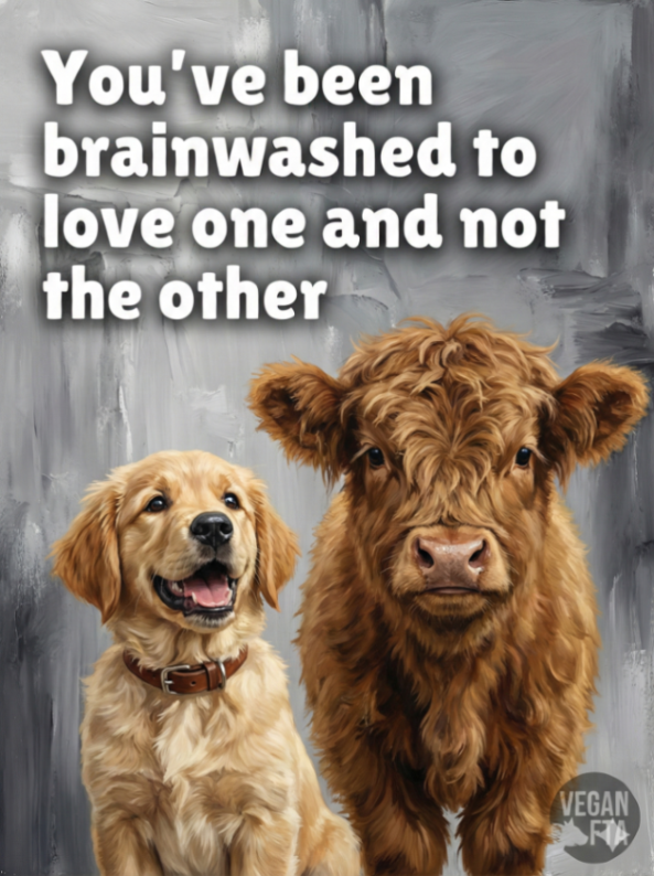 What’s the important difference, really? They both deserve the same care and respect. 🐮🐶