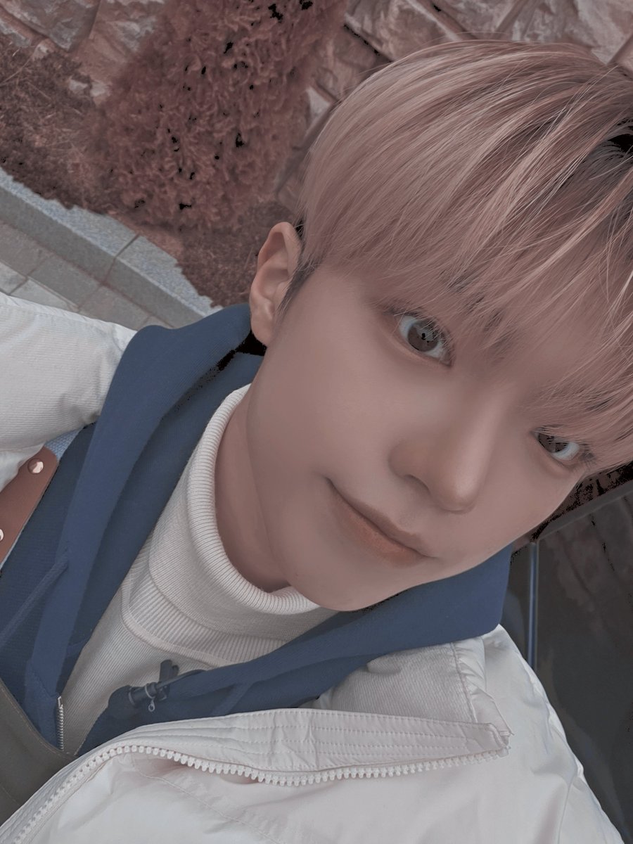 • 🪸˖°𓇼⋆🐚 𓈒𓏸 tweet media