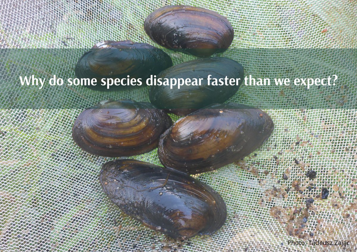 Institute of Nature Conservation PAS tweet media