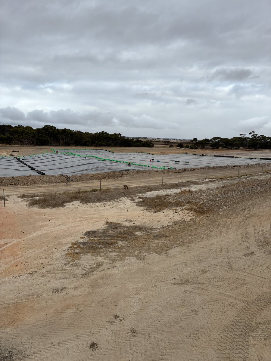 Brett Page tweet media