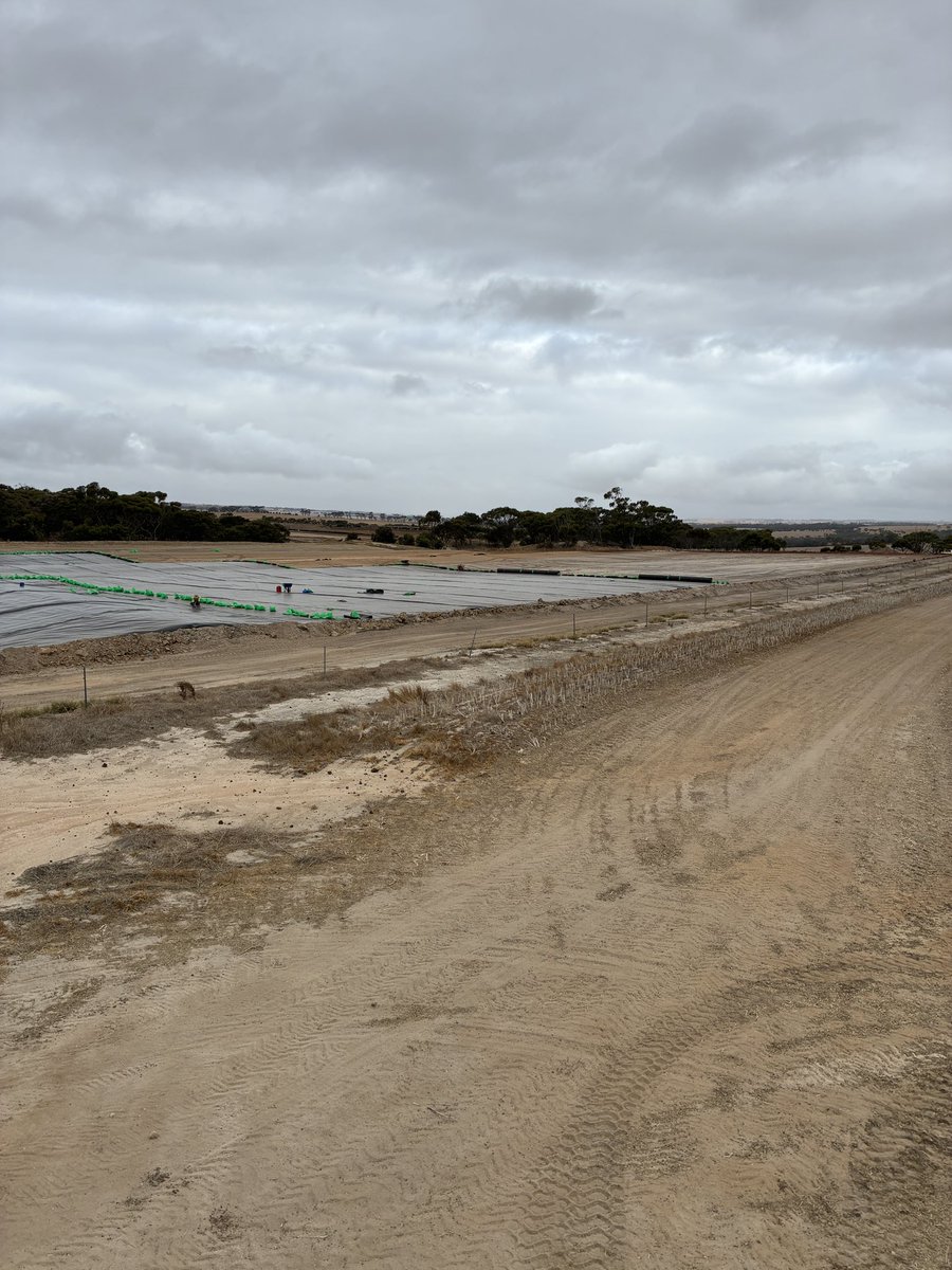 Brett Page tweet media