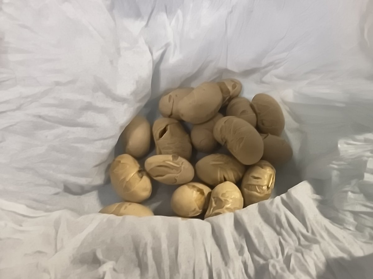 鬼は👹外～🫘🫘

福は内～😊

豆まきをしました‼️😆