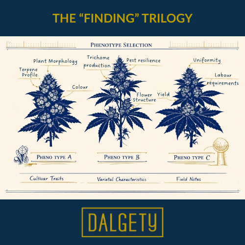 Dalgety tweet media