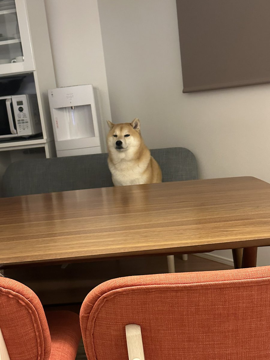 我が家の節分は終わりましたよー。

 #柴犬